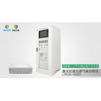 激光拉曼光谱气体分析仪LRGA-6000