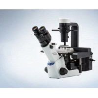 倒置显微镜CKX53