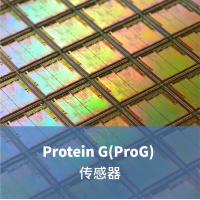 Protein G(ProG) 生物传感器