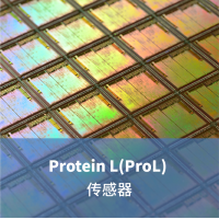 Protein L(ProL) 生物传感器